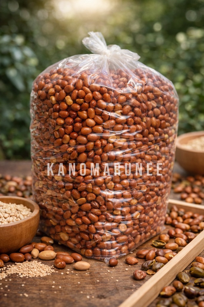 ถั่วลิสง